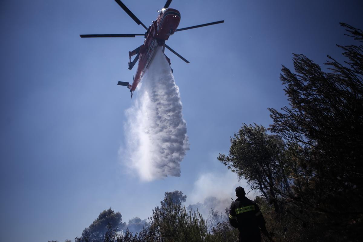 Φωτιά σε δασική περιοχή κοντά στην Καρύταινα Αρκαδίας